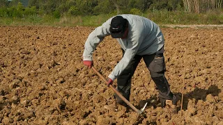 Drought: The Government to the Rescue of Farmers