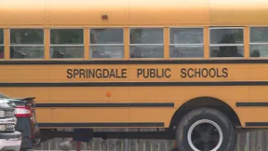 School bus carrying Springdale students hits pole; Driver arrested for DWI