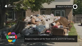 Niagara mayors call for flood relief at provincial meeting