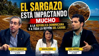 El sargazo en el Caribe: el problema ambiental que crece sin control