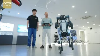 Hangzhou: A robot with a name inspired by a Chinese classic