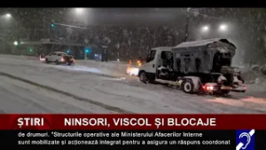 Ninsori, viscol și blocaje