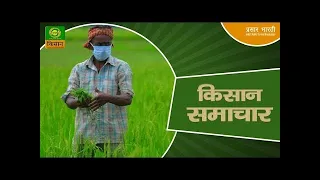 Kisan Samachar: Latest News of Agriculture | DD Kisan | 29/07/2026