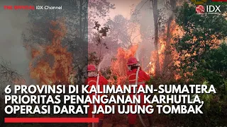 6 Provinsi di Kalimantan-Sumatera Prioritas Penanganan Karhutla, Operasi Darat Jadi Ujung Tombak