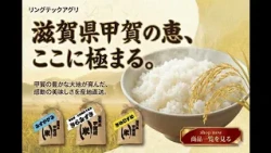 Rice grown with heart from the natural bounty of Koka City, Shiga Prefecture
