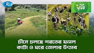চীনে চলছে শরতের ফসল কাটা ও ঘরে তোলার উৎসব | Sobuj Prithibe Clips | Rtv