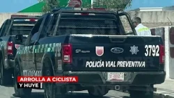 Zacatecas Red Alert Summary