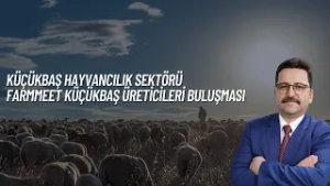 KÜÇÜKBAŞ HAYVANCILIK SEKTÖRÜ VE FARMMEET KÜÇÜKBAŞ ÜRETİCİLERİ BULUŞMASI I SEKTÖR ANALİZ