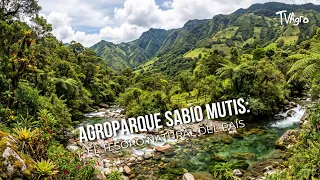 Sabio Mutis Agro-park: The country's natural treasure - TvAgro by Juan Gonzalo Angel