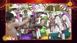 ஸ்ரீமத்தியபுரியம்மை ஸ்ரீநன்மைதருவார் ஸ்வாமி திருக்கல்யாண வைபவம் மதுரை | Bhakthi News |