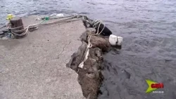 Woburn Jetty Concerns