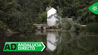 Andalucía Directo | The Mills Route in Alcalá de Guadaíra, history and nature