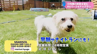 Trend#Link: RV Park & Dog Run with a Stunning View of Hyuga-nada