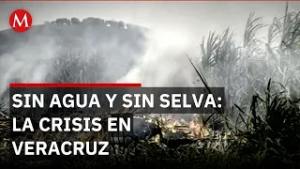 Caza y tala ilegal acaban con la Reserva de la Biosfera de Los Tuxtlas