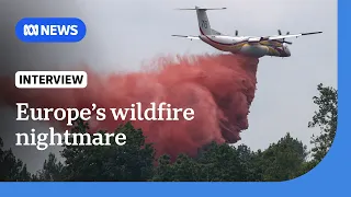 Crisis meetings held in France as wildfires force evacuations | The World | ABC NEWS