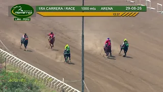 Hipódromo Monterrico - 1ra Carrera 29  Agosto 26