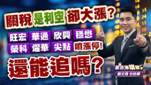 中視【股市米琪林】20260224 #謝文琪：關稅是利空卻大漲？旺宏、華通、欣興、穩懋、榮科、燿華、尖點噴漲停！還能追嗎？ #中視 #中視新聞 #股市米琪林 #永誠國際投顧