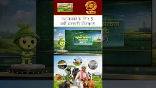 WATCH | 5 Major Government Schemes for Livestock Farmers | Smart Kisan | DD Kisan