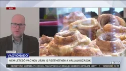 Drágább cégértékelés és adóviták jöhetnek a vagyonadó miatt- HírTV