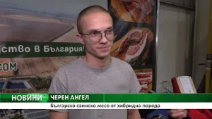 Българско свинско месо от хибридна порода
