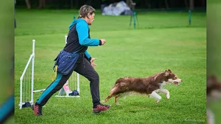 Proper Dog Ownership Remains a Hot Topic for Pinsk Residents