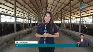 Zhetysu News (07/30/2026) 21:30