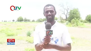NORTH BANK FARMERS REMAIN OPTIMISTIC AS RAINY SEASON PEAKS.