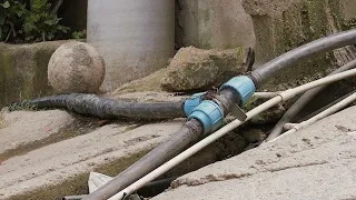 Prosecutor appointed to investigate utility theft causing millions in losses for EPM