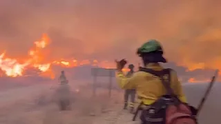 Waldbrand bei Almería in Spanien tötet elf Menschen und löst Massenevakuierungen aus
