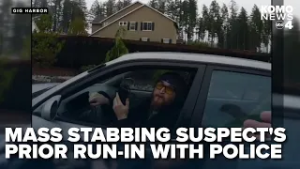 'I am no longer a person': Video shows mass stabbing suspect's prior run-in with police