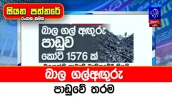 බාල ගල්අඟුරු  පාඩුවේ තරම