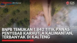 BNPB Temukan 1.842 Titik Panas Penyebab Karhutla Kalimantan, Terbanyak di Kalteng | IDXC UPDATE