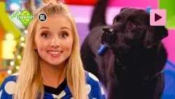 HUISDIEREN 🐶  | Zin in Zappelin | NPO Zappelin