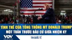 The position of US President Donald Trump one week before the midterm elections | VOV