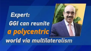 Expert: Global Governance Initiative can make world whole again