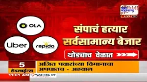 Vikhe Patil On Parth Pawar | पार्थ पवारांना क्लीन चिट मिळाली असेल तर अडचण काय? : विखे पाटील