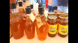 Beekeeping and Meliponiculture Gathering Brings Producers Together in Loja