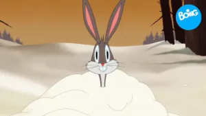 Especial Invierno | MEGACOMPILACIÓN sobre la temporada más fría del año | Boing