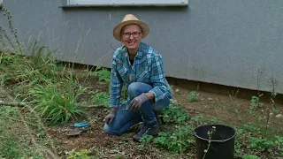 Propagating Plants | "Gabi's Garden" with Gabi Pratz