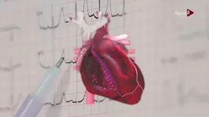 ماذا يحدث للقلب مع أول وجبة إفطار؟ وما أسباب الشعور بالخفقان بعدها؟ يشرحها د. هشام حسّون