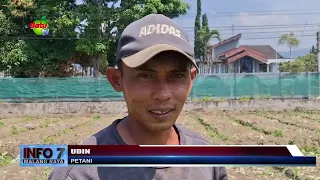 LOW MARKET DEMAND, VEGETABLE PRICES REMAIN DOWN