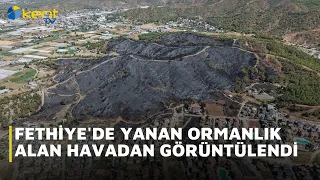 AERIAL VIEW OF THE BURNT FOREST AREA IN FETHIYE