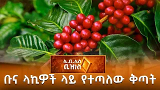 ቡና ላኪዎች ላይ የተጣለው ቅጣት /EBS Business