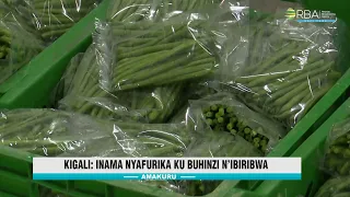 Inama Nyafurika ku buhinzi n'ibiribwa isigiye iki urubyiruko n'abashakashatsi muri uru rwego?