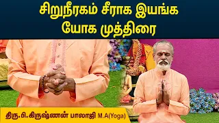 சிறுநீரகம் சீராக இயங்க யோக முத்திரை | Krishnan Balaji | MEGA TV