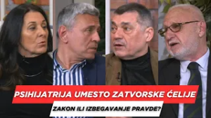 POSLE RUCKA - Psihijatrija umesto zatvorske celije - Zakon ili izbegavanje pravde?