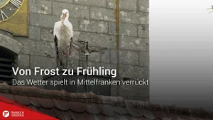 Von Frost zu Frühling: Das Wetter spielt in Mittelfranken verrückt