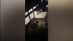 Kaos te Qytet Studenti/ Protestuesit thyejnë xhamat e godinës