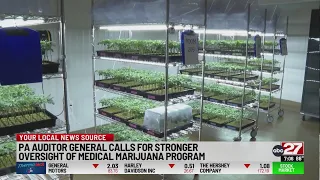 Pa. Auditor General calls for stronger oversight of medical marijuana program