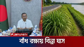 সড়ক-বাঁধ নির্মাণে বিন্না ঘাস ব্যবহারের উদ্যোগ সরকারের | PM | Binna | Grass | Jamuna TV